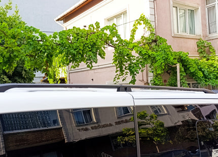 Roof Rails For Ford Transit Custom Van Swb Black 2023- Up